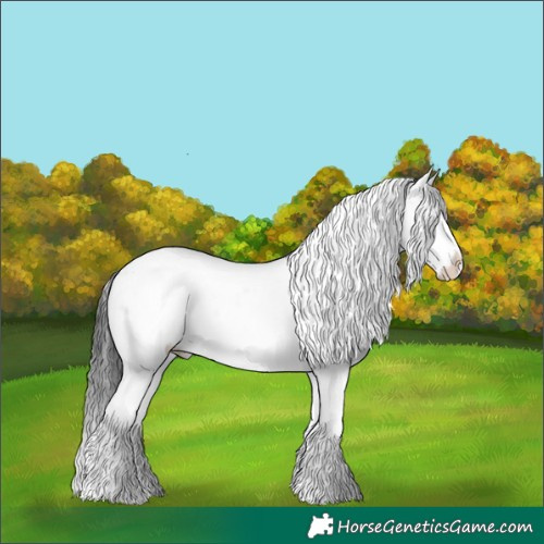 Horse Color:Grullo Ice Splash 