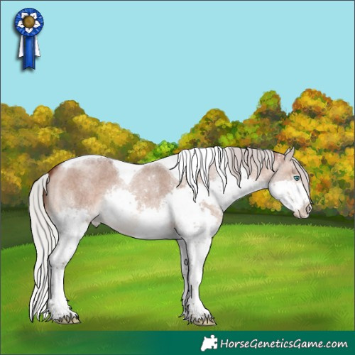 Horse Color:Silver Brown Roan Dun Splash Tobiano 