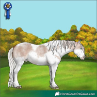 Horse Color:Silver Brown Roan Dun Splash Tobiano