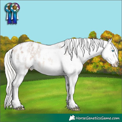 Horse Color:Silver Grullo Roan Splash Tobiano Appaloosa  and Silver Brown Roan Dun Splash Tobiano Appaloosa 