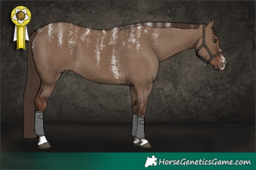 Horse Color:Powder White Liver Red Dun 