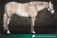 Horse Color:Powder White Perlino Rabicano 