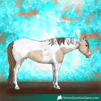 Horse Color:Bay Dun Tobiano Varnish 