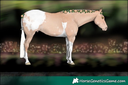 Horse Color:Silver Amber Champagne Tobiano Snowcap