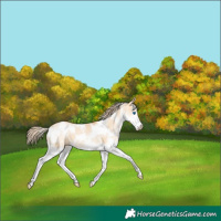 Horse Color:White Spotted Red Dun Pearl Splash 