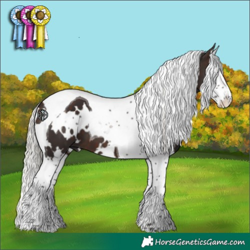 Horse Color:White Spotted Silver Brown Splash Tobiano 
