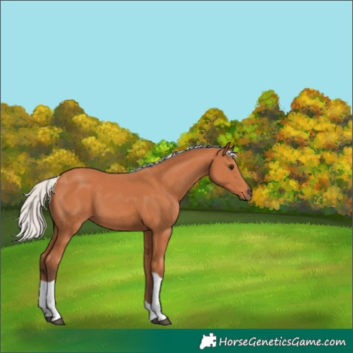Horse Color:Silver Bay Tobiano 