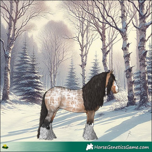 Horse Color:Brown Ice Dun 