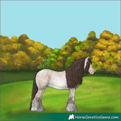 Horse Color:Classic Champagne Ice Dun 