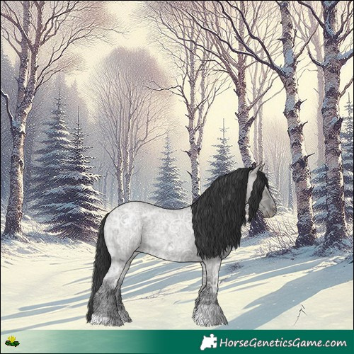 Horse Color:Grullo Ice Roan 