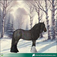 Horse Color:Midnight Brown Ice Dun 