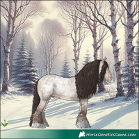 Horse Color:Sable Champagne Ice Dun