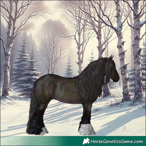 Horse Color:Midnight Brown Dun Rabicano