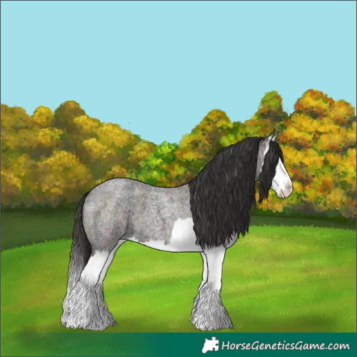 Horse Color:Midnight Brown Roan Dun Splash 