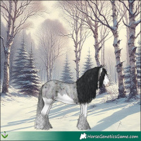 Horse Color:Midnight Brown Ice Roan Splash 
