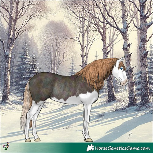 Horse Color:Midnight Gold Champagne Ice Splash Rabicano 