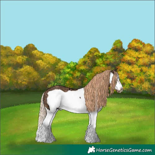Horse Color:Red Dun Ice Splash Frame 