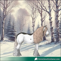 Horse Color:Midnight Gold Champagne Ice Dun Splash Frame