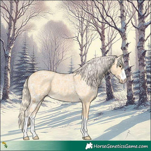 Horse Color:Palomino Ice 