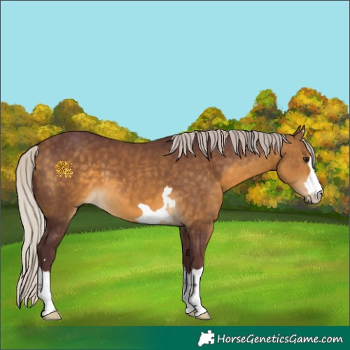 Horse Color:Chocolate Silver Buckskin 