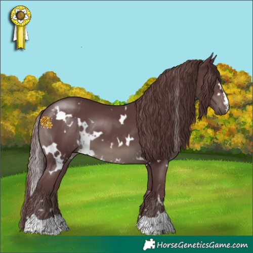 Horse Color:White Spotted Chocolate Black 