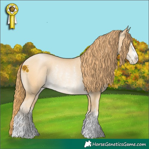 Horse Color:Chocolate Buckskin Pearl Rabicano 