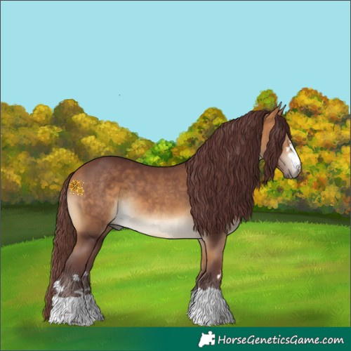 Horse Color:Chocolate Buckskin 
