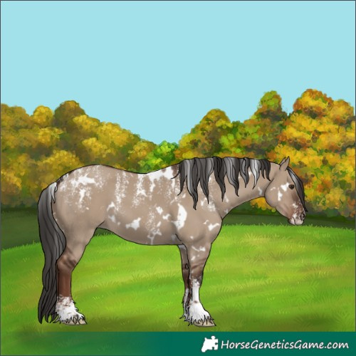 Horse Color:Powder White White Spotted Liver Red Dun 