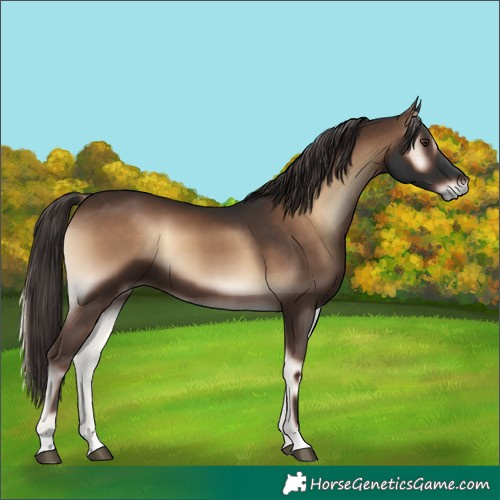 Horse Color:Liver Red Onyx 