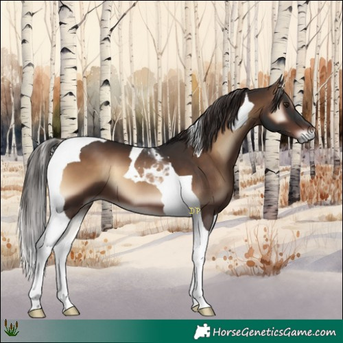 Horse Color:Liver Red Onyx Tobiano 