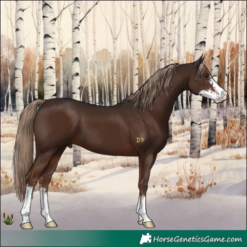 Horse Color:Liver Chestnut Sabino 