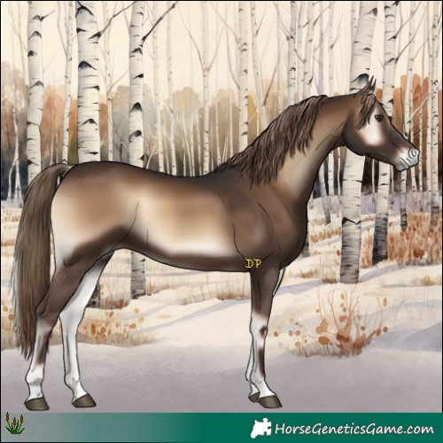 Horse Color:Liver Red Onyx