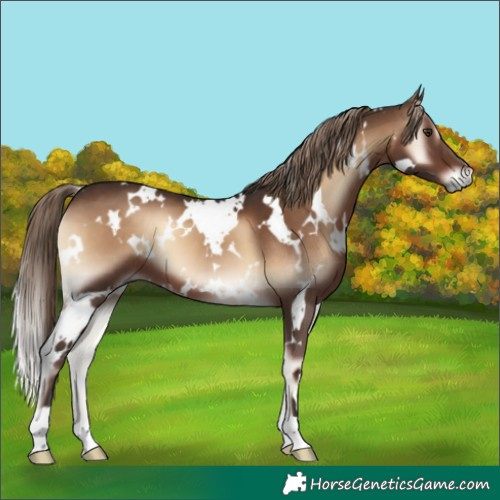 Horse Color:White Spotted Liver Red Onyx 
