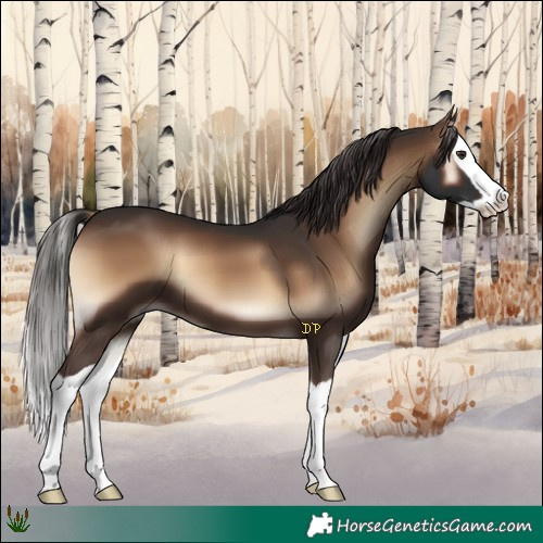 Horse Color:Liver Red Onyx Splash 