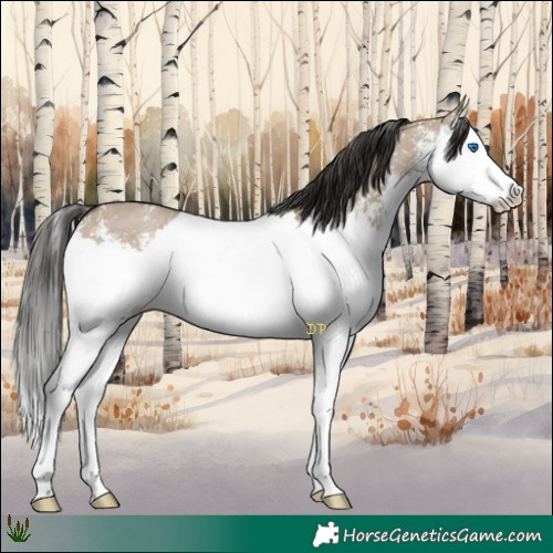 Horse Color:Liver Red Dun Sabino Splash