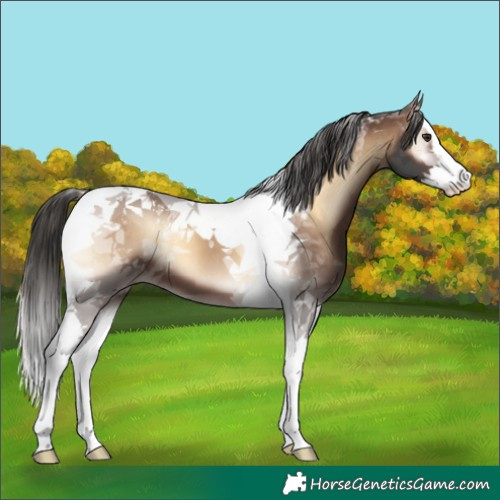 Horse Color:Liver Red Onyx Splash Tobiano 