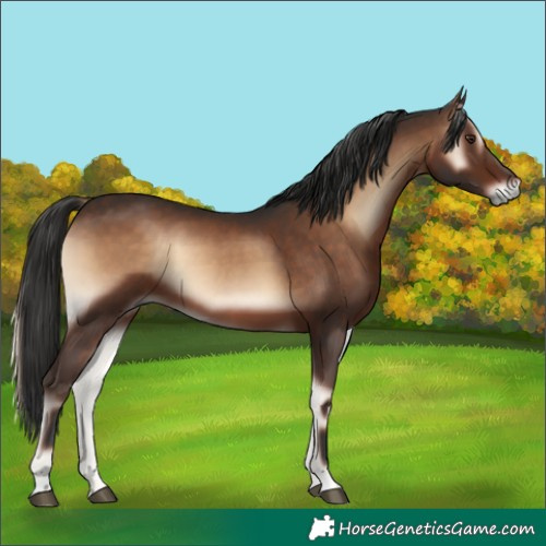 Horse Color:Liver Red Onyx 
