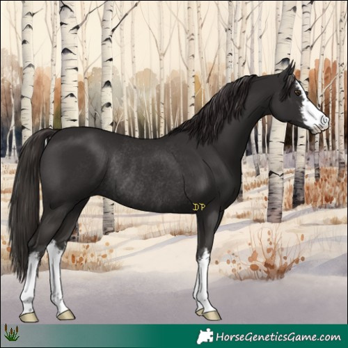 Horse Color:White Spotted Liver Chestnut Rabicano 