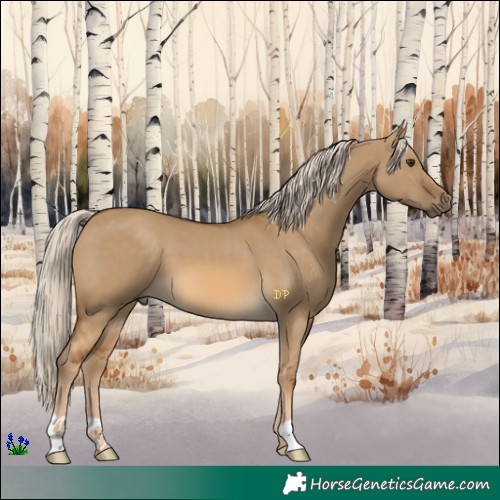 Horse Color:Chocolate Palomino Dun 