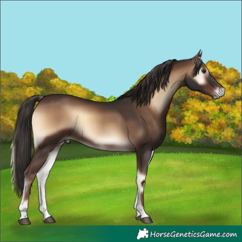Horse Color:Liver Red Onyx 