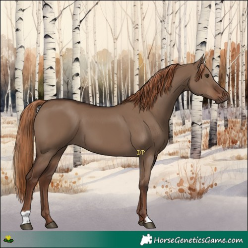 Horse Color:Liver Red Dun