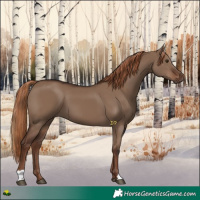 Horse Color:Liver Red Dun 