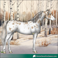 Horse Color:Chocolate Palomino Dun Sabino 