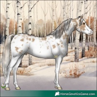 Horse Color:Chocolate Palomino Dun Sabino 