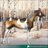 Horse Color:Chocolate Palomino Onyx Tobiano