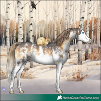 Horse Color:Chocolate Palomino Onyx Sabino Splash 