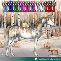 Horse Color:Chocolate Palomino Onyx Sabino Splash 