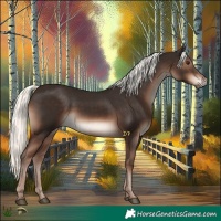Horse Color:Liver Chestnut Mushroom 