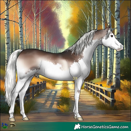 Horse Color:Liver Red Onyx Mushroom Splash 