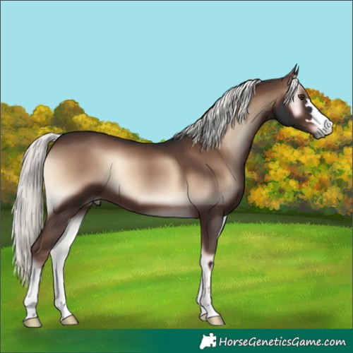 Horse Color:Liver Red Onyx Mushroom 